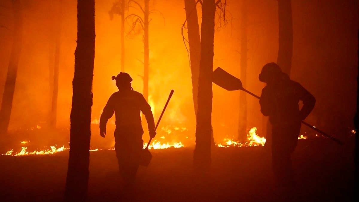 Los Bomberos de León se han desplazado hasta la Sierra de la Culebra. | BOMBEROS DE LEÓN