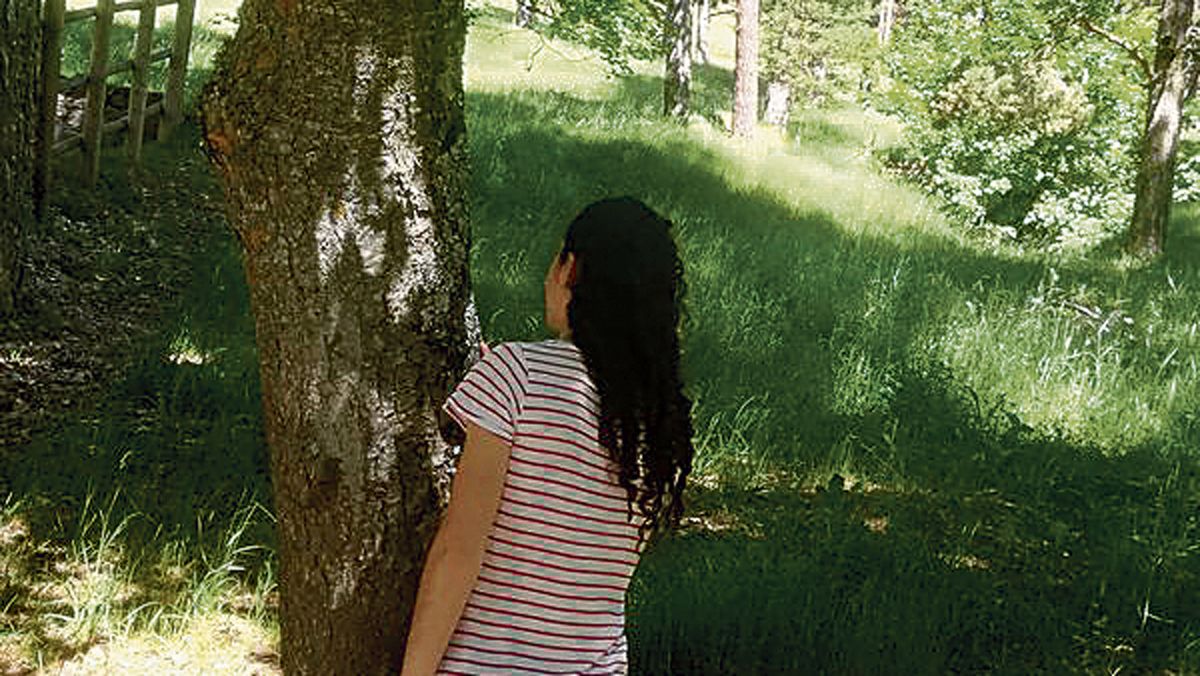 Este verano los líquenes de Babia serán los protagonistas. | R. B. BABIA Este verano los líquenes de Babia serán los protagonistas. | R. B. BABIA