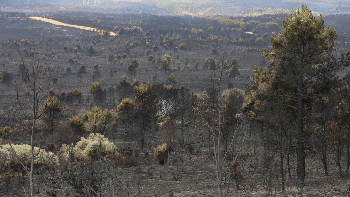 Incendio en la Sierra de la Culebra. | JL LEAL / ICAL