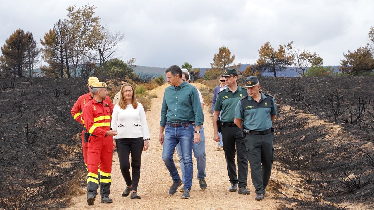 Pedro Sánchez visita la Sierra de la Culebra, en Zamora. | MIRIAM CHACÓN / ICAL