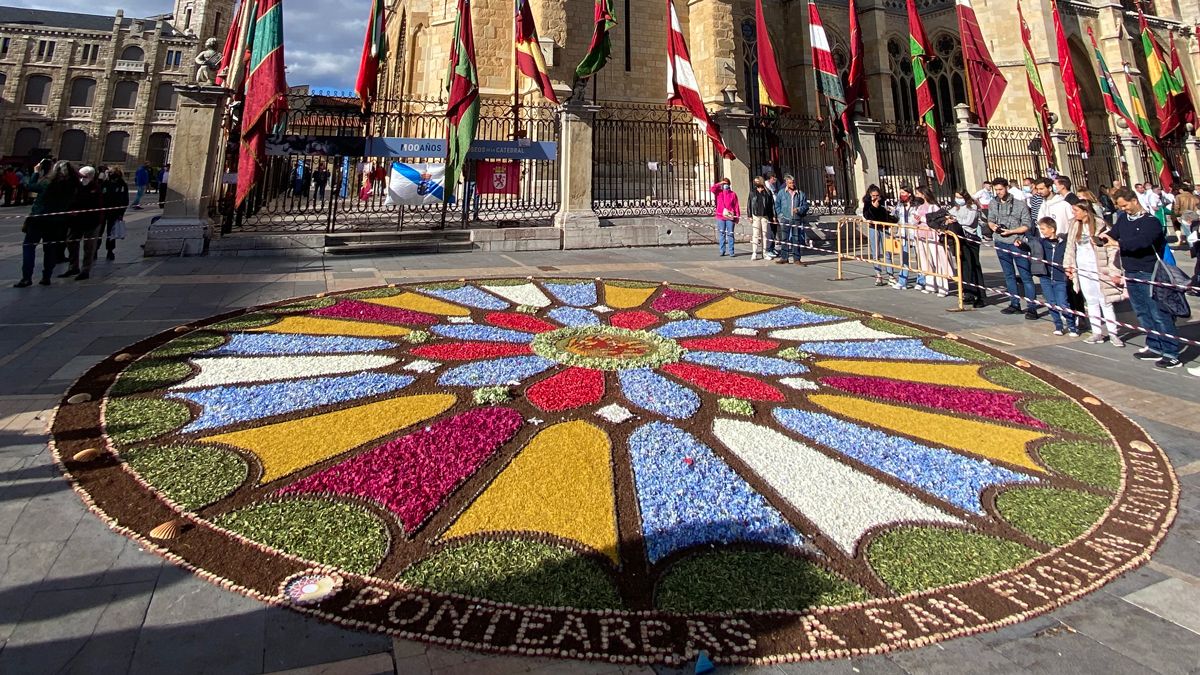 La alfombra floral de San Froilán. | SAÚL ARÉN La alfombra floral de San Froilán. | SAÚL ARÉN