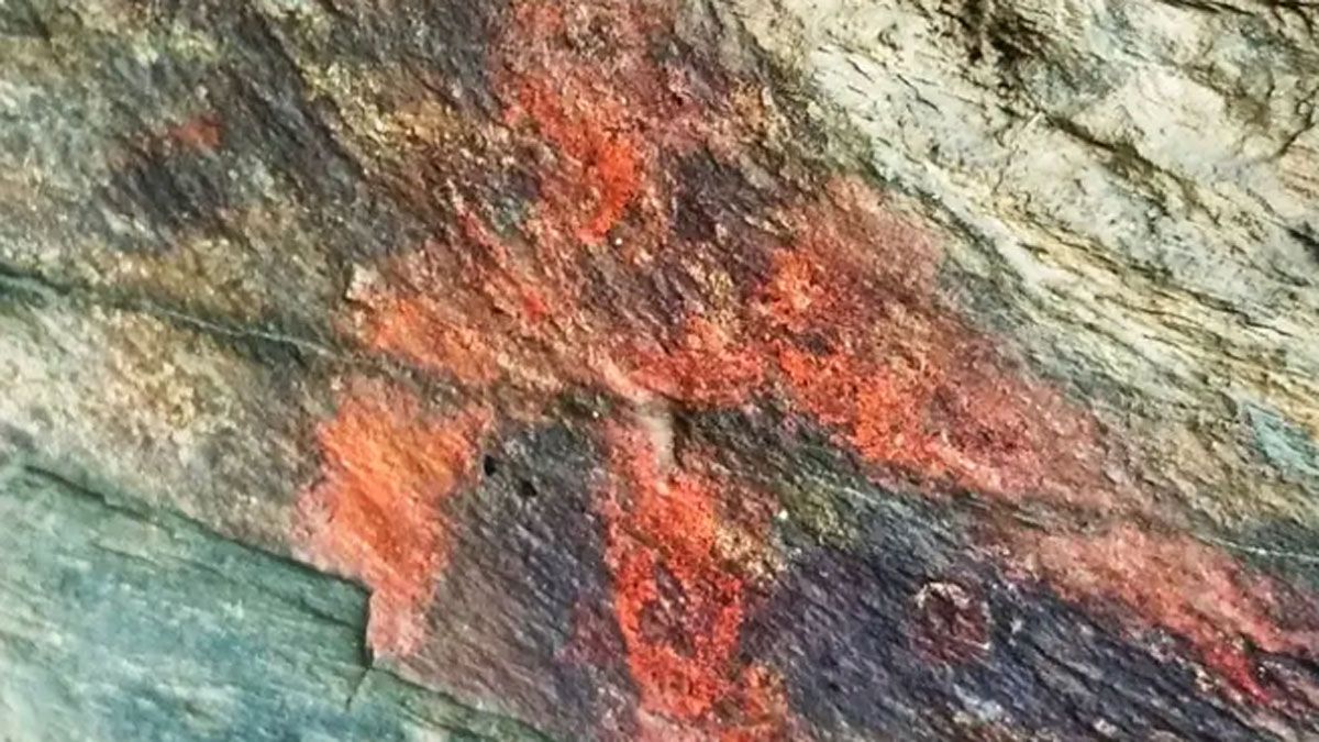 Hallazgo histórico en Fonfría Hallazgo histórico en Fonfría