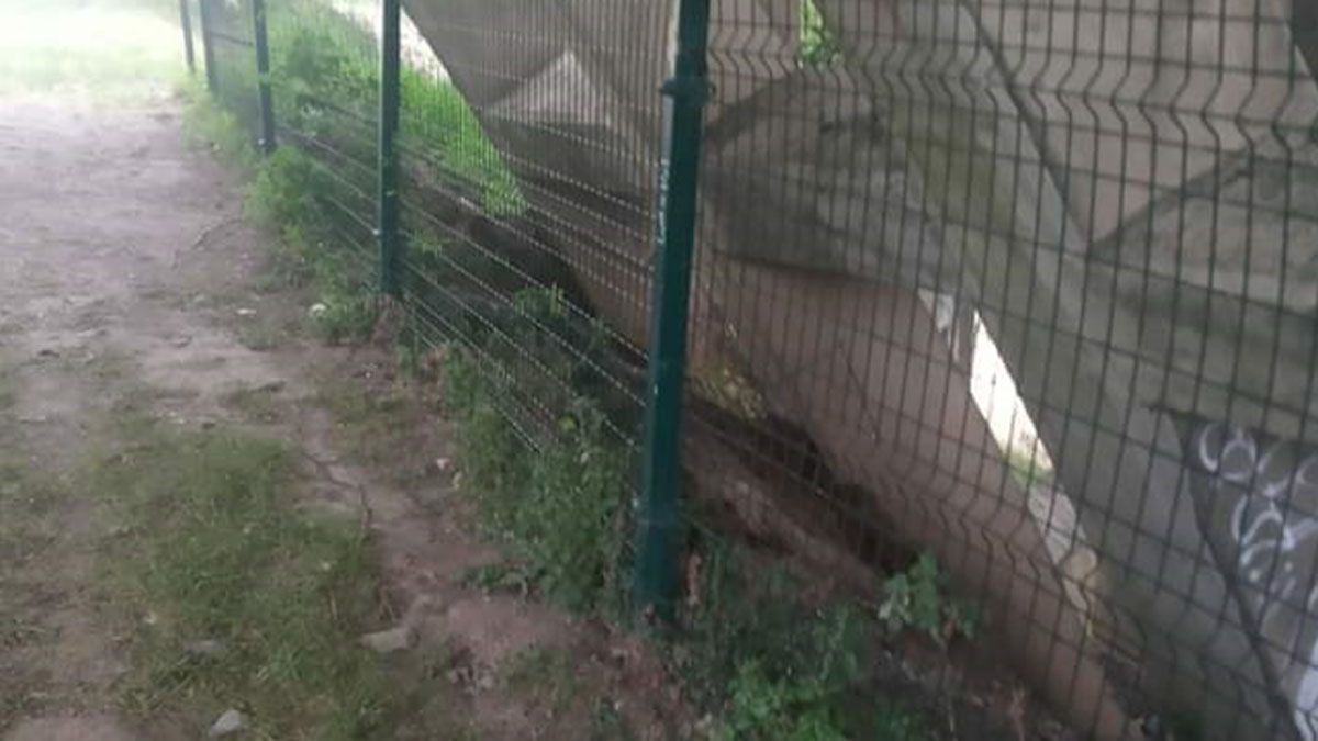 Emplazamiento propuesto por Carballo para la construcción de un lago artificial | PRB Emplazamiento propuesto por Carballo para la construcción de un lago artificial | PRB