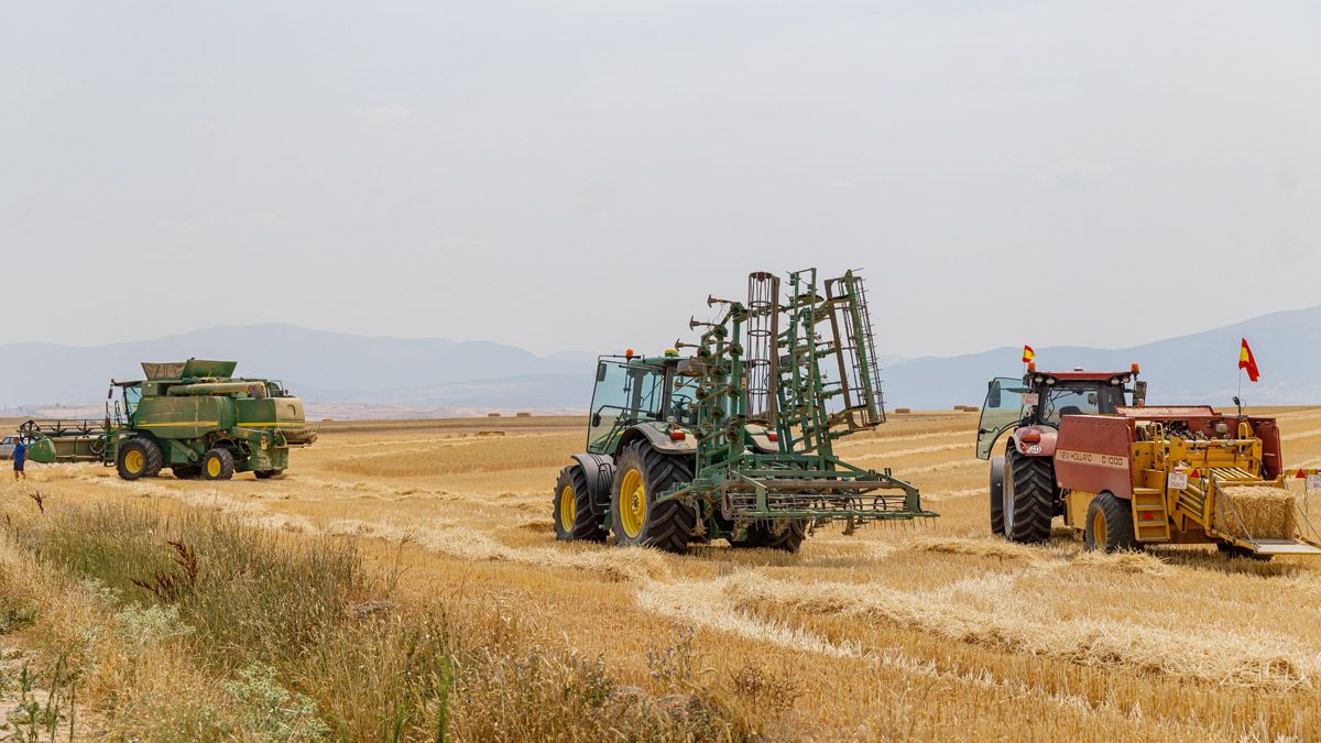 Las labores para la cosecha del cereal de invierno ya han comenzado. | ICAL