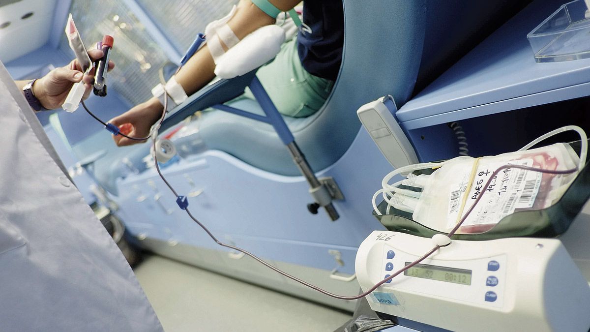 La donación de sangre sigue siendo fundamental a la hora de salvar vidas en los hospitales de la provincia de León. | DANIEL MARTÍN