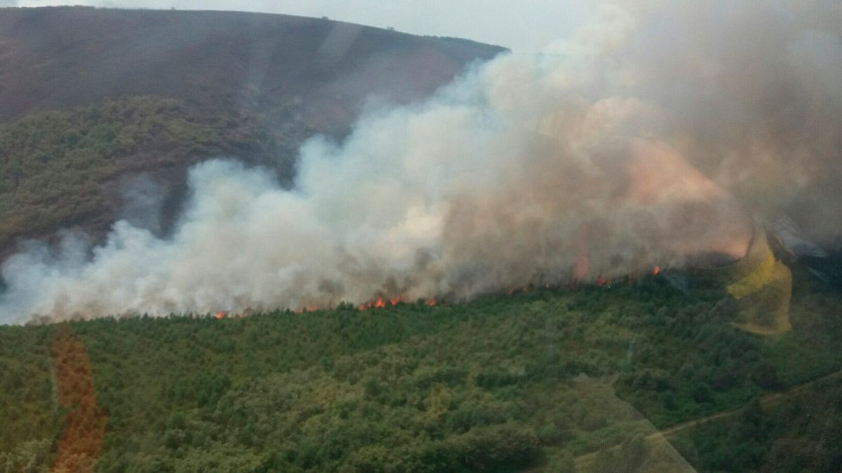 Un incendio forestal ocurrido en Balboa el año pasado. 