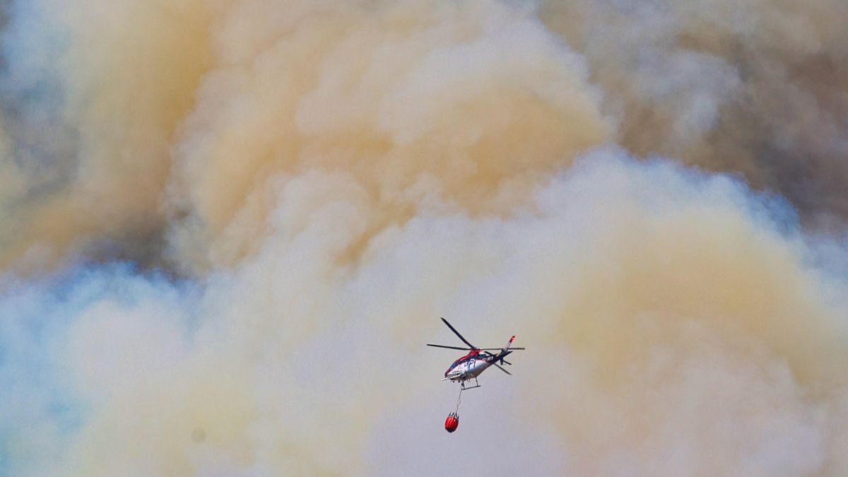 incendio-zamora-18072022.jpg incendio-zamora-18072022.jpg