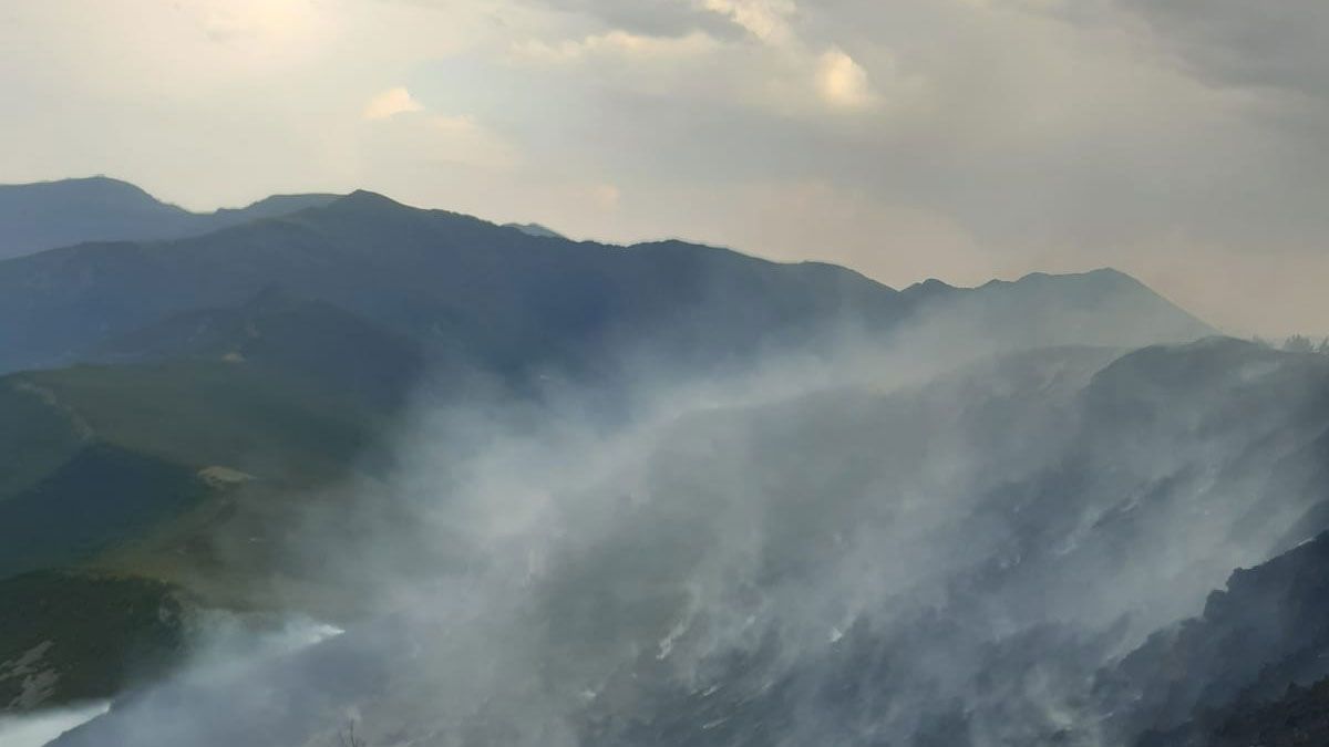 Incendio en Montes de Valdueza | Naturaleza Castilla y León