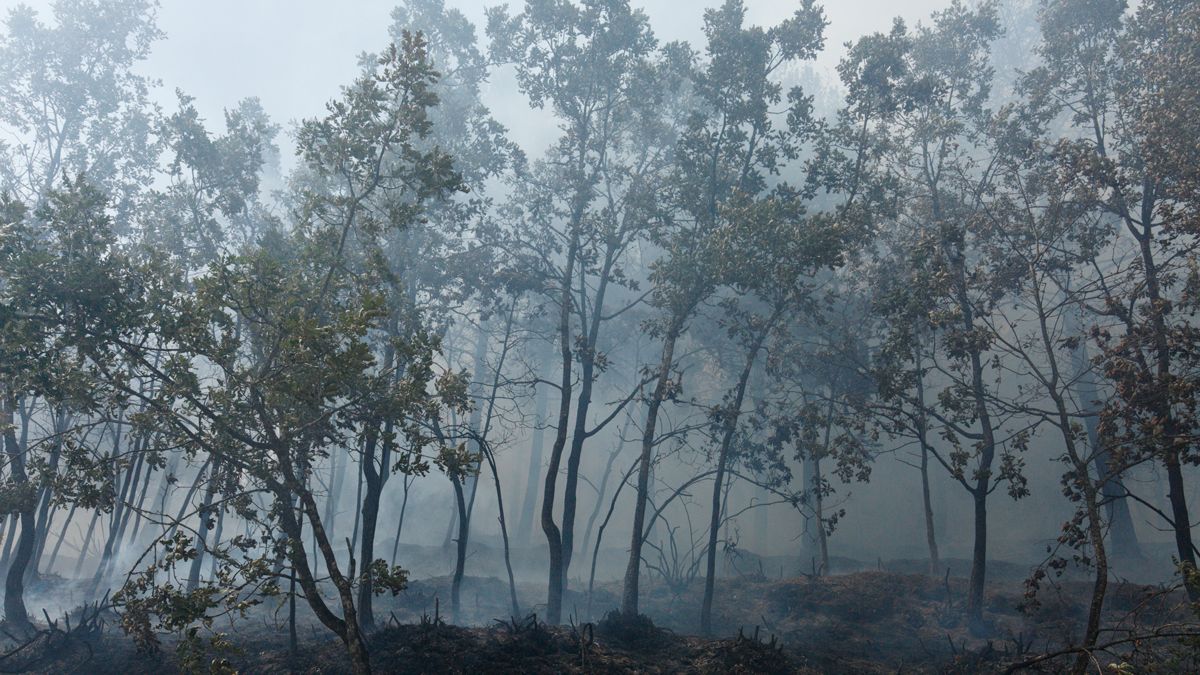 Incendio en el monte Aquiana en el Bierzo, por el que ha tenido que ser desalojado el pueblo de San Adrián. | CÉSAR SÁNCHEZ / ICAL