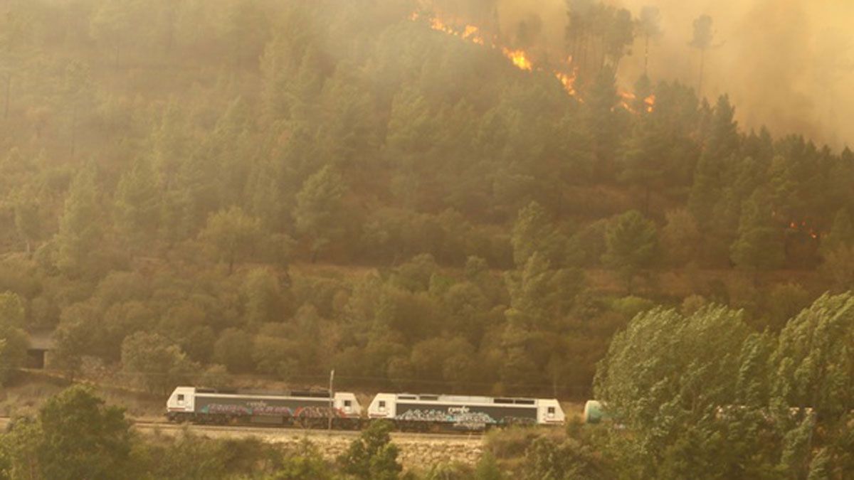 Paso del tren bajo el fuego en Puente de Domingo Flórez | César Sánchez