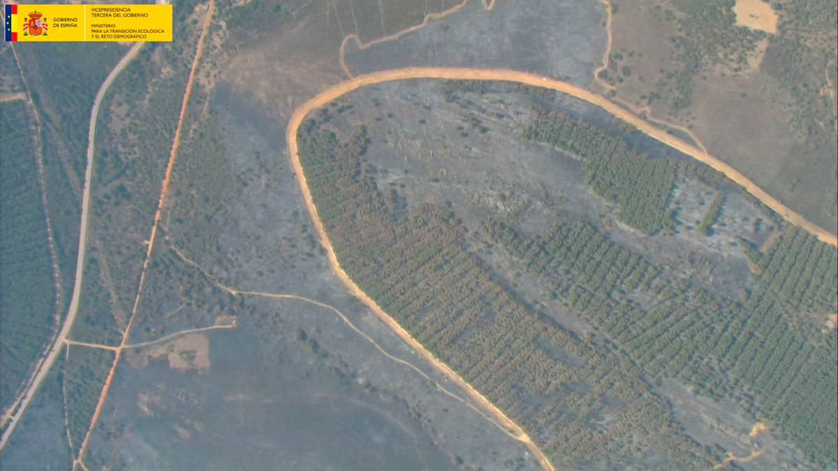 Imagen aérea del terreno calcinado. | @NATURALEZACYL Imagen aérea del terreno calcinado. | @NATURALEZACYL