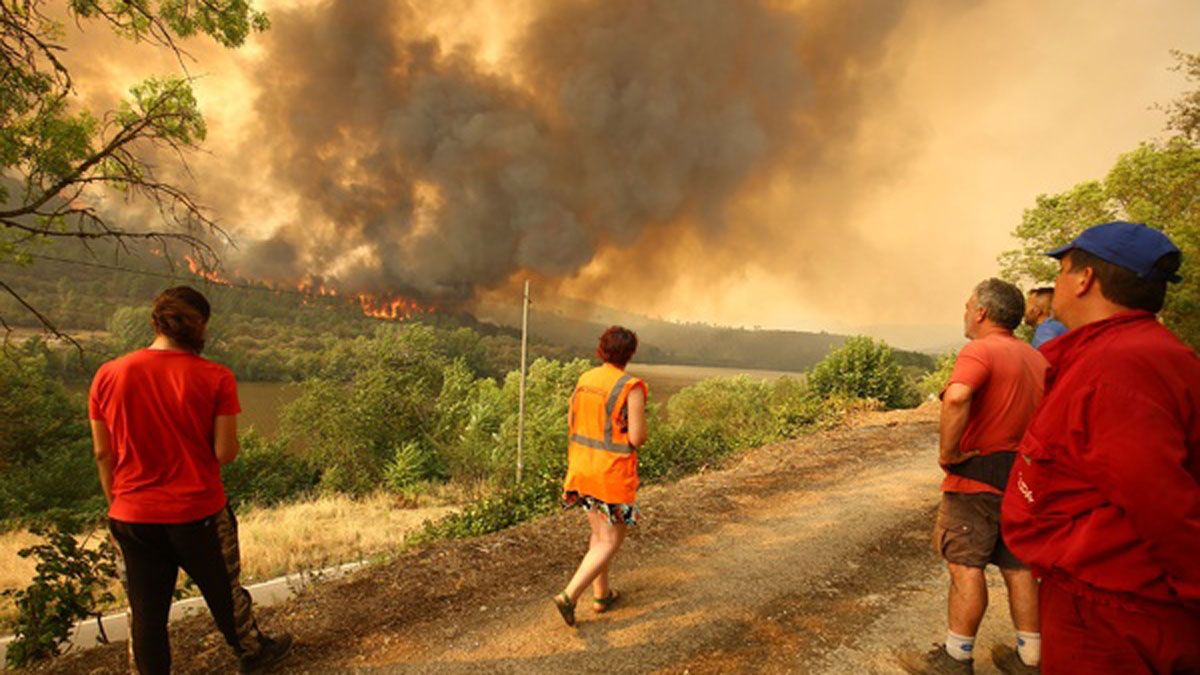 Incendio entre las localidades limítrofes de Castilla y León de Puente Domingo Flórez | César Sánchez