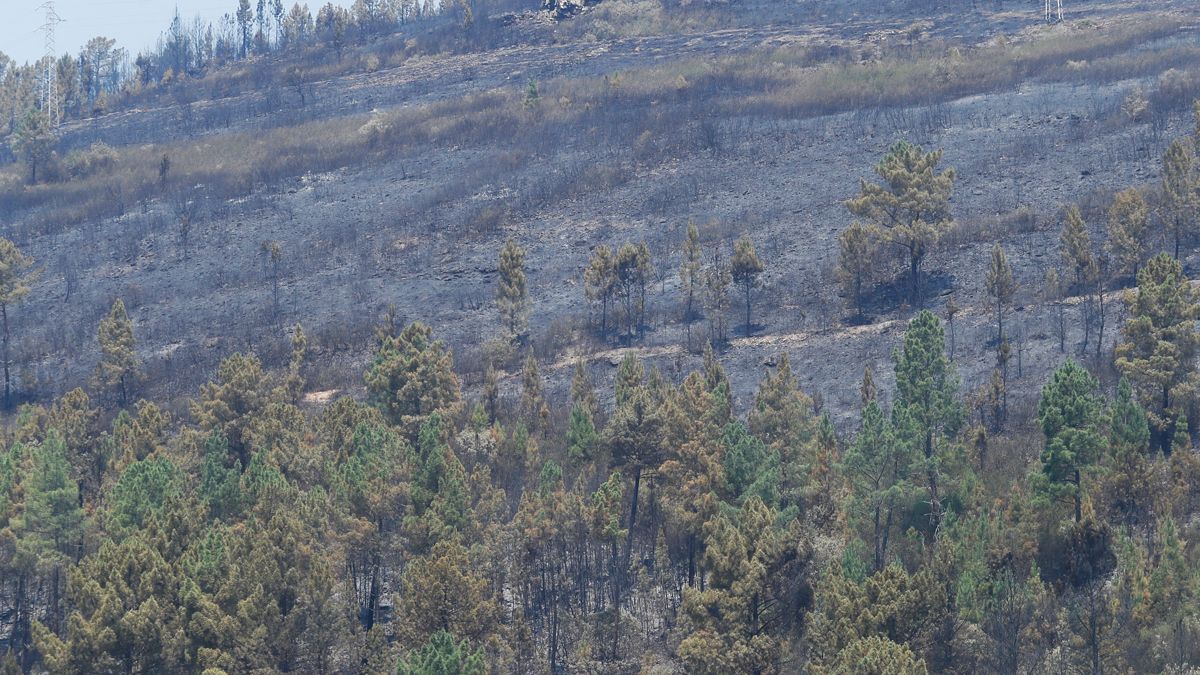 incendio-puente-domingo-florez-23072022.jpg