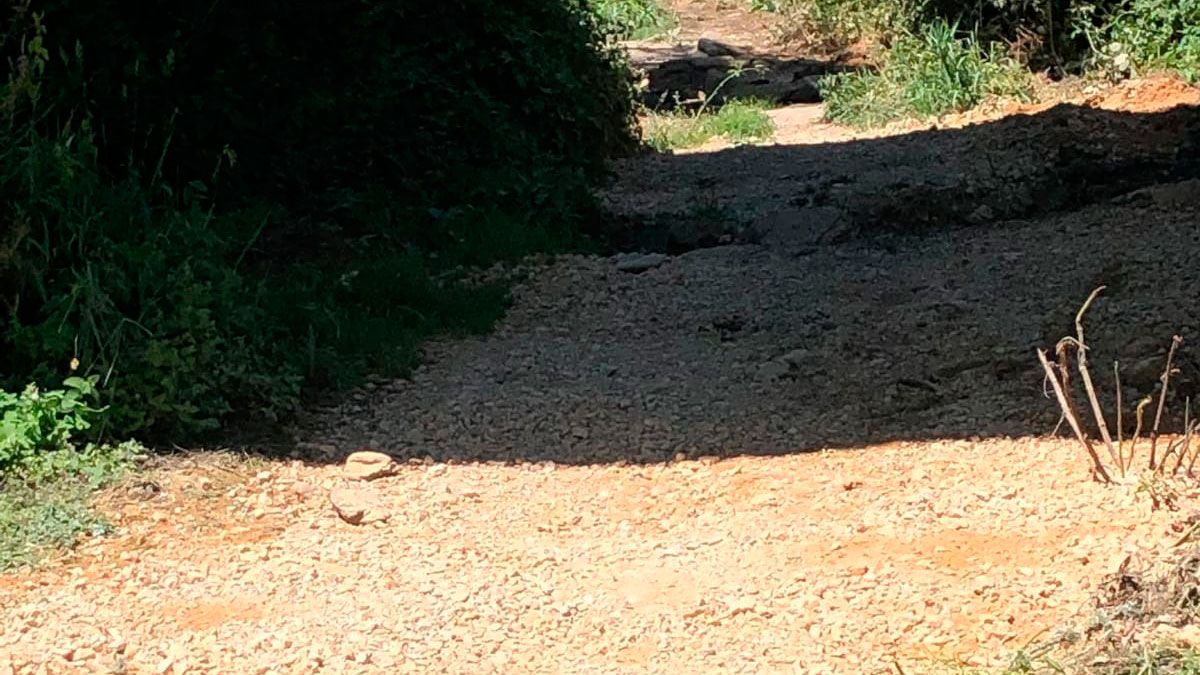 Estado actual de la zona en la que se denunciaban los vertidos.