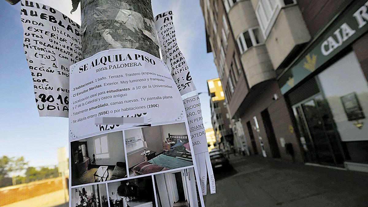 Imagen de archivo de un anuncio para alquilar un piso en León. | L.N.C.