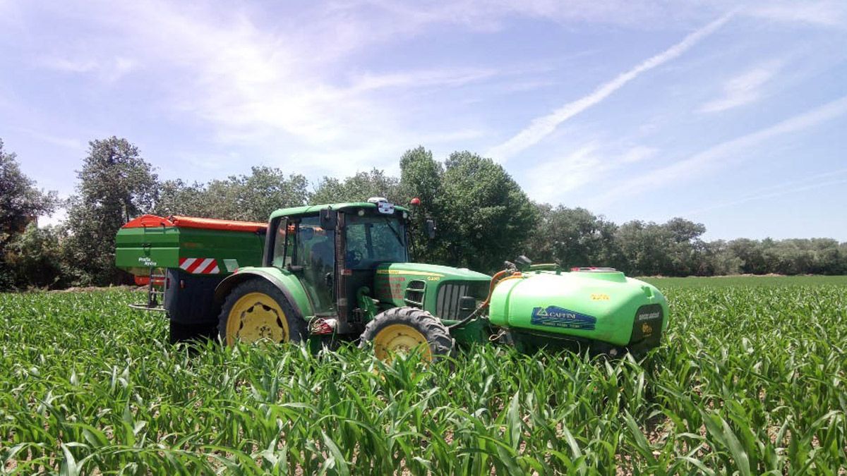 Este estudio busca que los agricultores apuestan por estas técnicas de siembra para reducir los gases invernadero.| ICAL