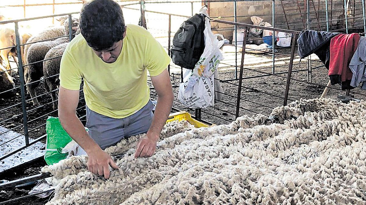 Taller de hilar la lana que se llevará a cabo el domingo | L.N.C.