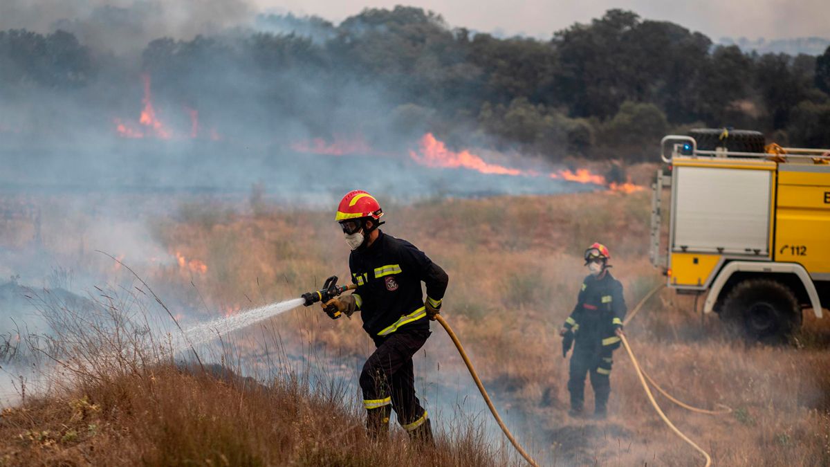 Labores de extinción en el incendio de Losacio. | EP