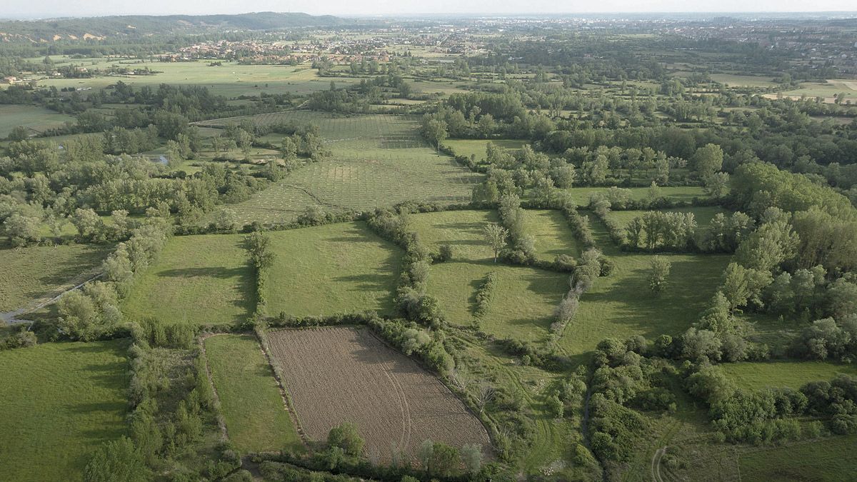 Vista del valle del Torío, uno de los ‘paraísos’ de las sebes en la provincia de León. | REPORTAJE GRÁFICO DE VÍCTOR CASAS