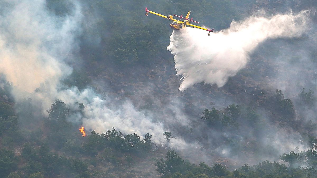 extincion-incendio-boca-de-huergano-10082022.jpg