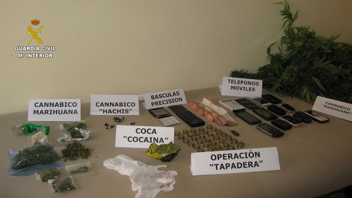 Material y sustancias incautadas por la Guardia Civil de La Bañeza. | L.N.C. Material y sustancias incautadas por la Guardia Civil de La Bañeza. | L.N.C.