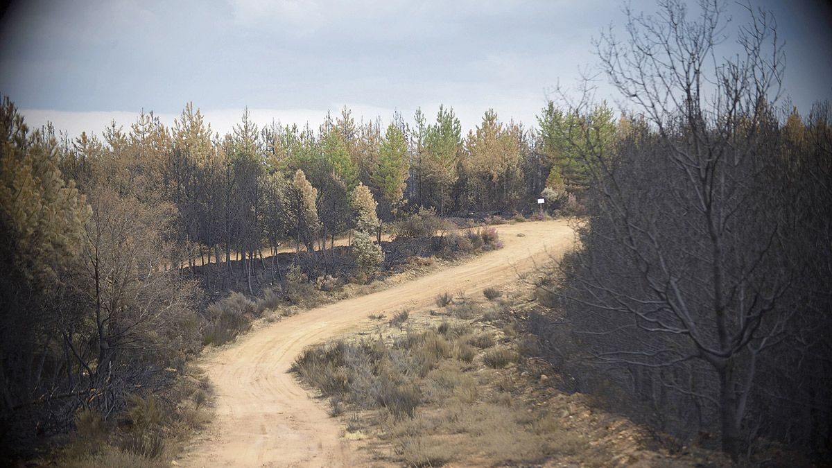 ‘El río del olvido’, de Julio Llamazares, es la crónica de un viaje a lo largo del Curueño. | MAURICIO PEÑA ‘El río del olvido’, de Julio Llamazares, es la crónica de un viaje a lo largo del Curueño. | MAURICIO PEÑA
