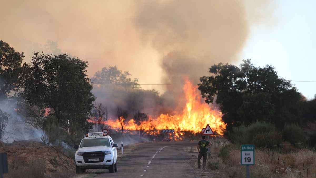 incendios-seobirlife-penas-17082022.jpg incendios-seobirlife-penas-17082022.jpg