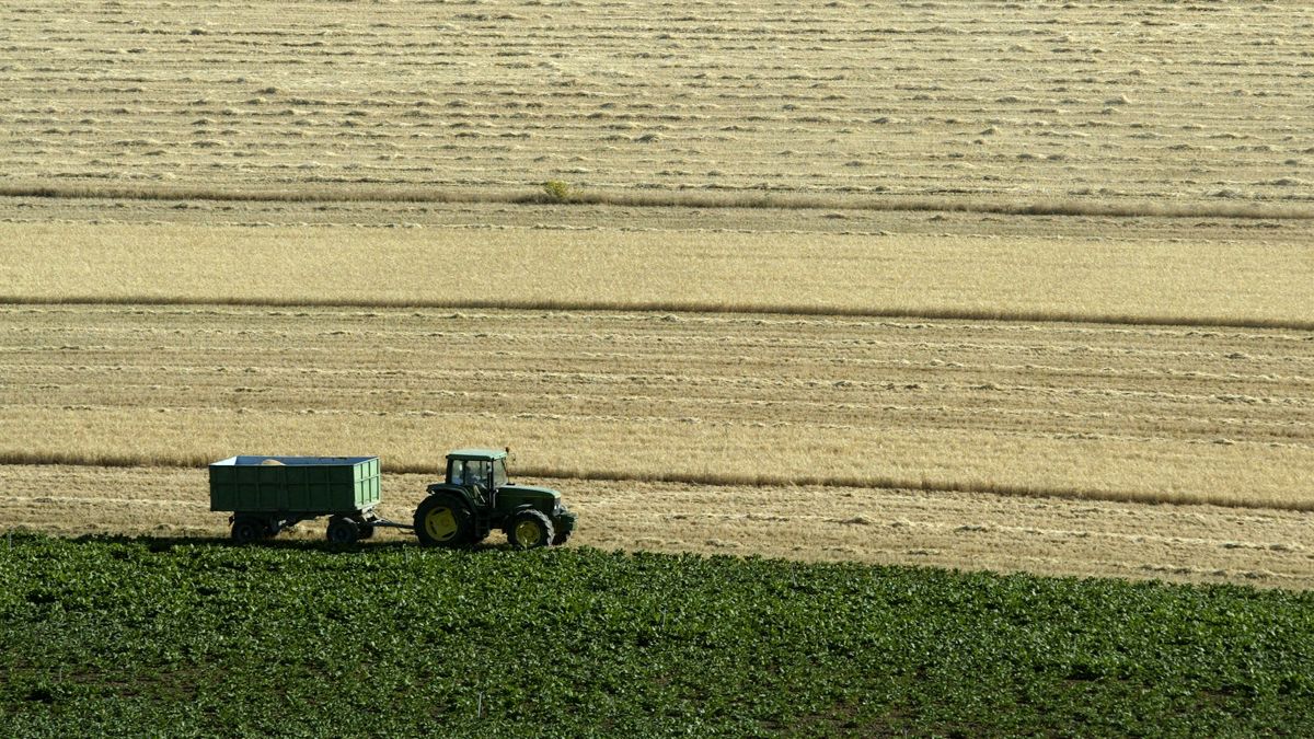 Imagen de archivo de un tractor en el campo leonés. | L.N.C.