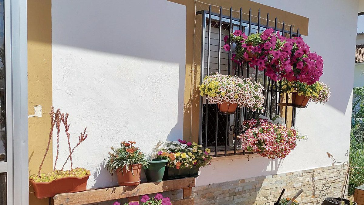 El concurso premia a los jardines, terrazas, ventanas y balcones. | L.N.C.