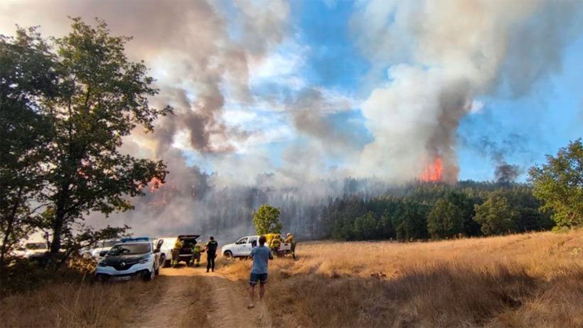 incendio-forestal-villahibiera-23082022.jpg