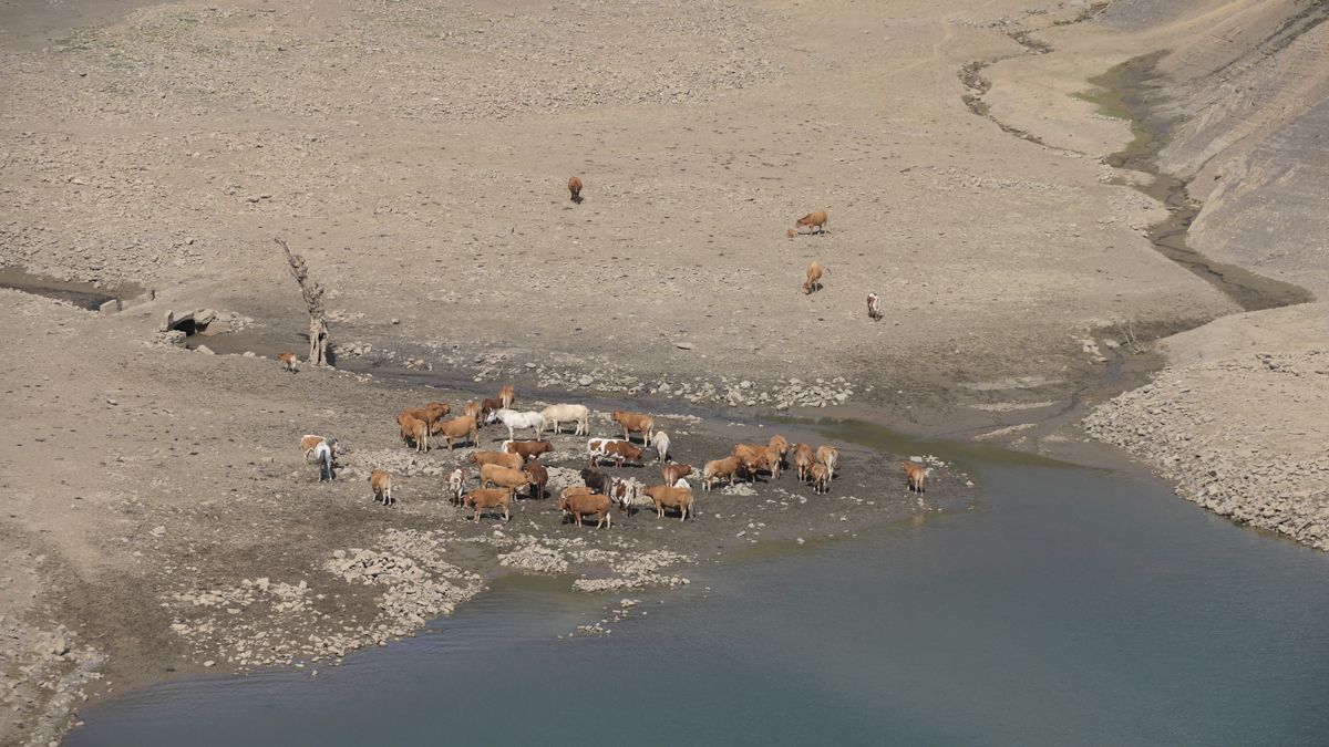 Los embalses de León también acusan el estiaje extremo de este verano. | L.N.C.