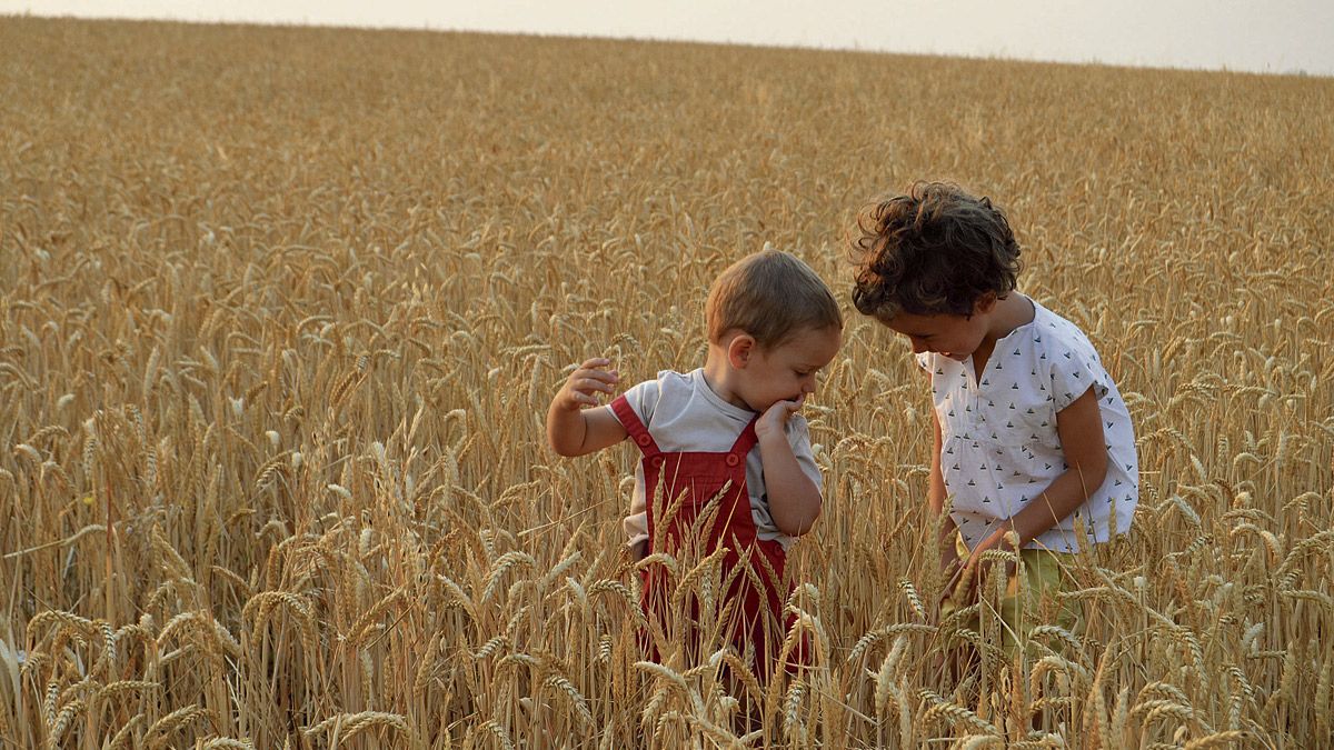 ‘El pan nuestro de cada día’, ganadora del premio a la mejor fotografía. | MARÍA FERNÁNDEZ GARRIDO ‘El pan nuestro de cada día’, ganadora del premio a la mejor fotografía. | MARÍA FERNÁNDEZ GARRIDO
