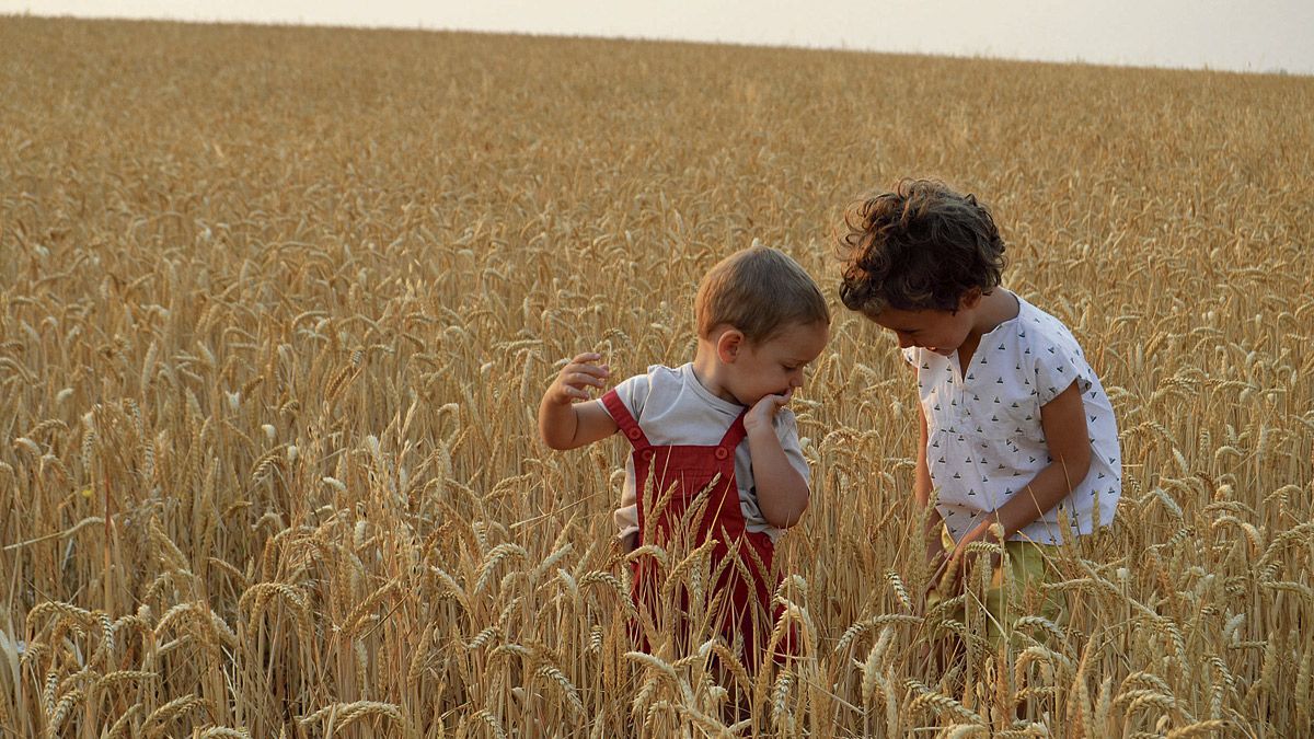 ‘El pan nuestro de cada día’, ganadora del premio a la mejor fotografía. | MARÍA FERNÁNDEZ GARRIDO