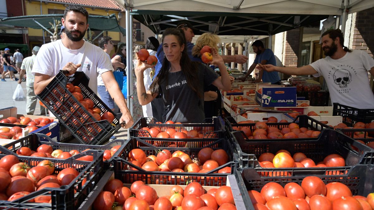 Vendedores de tomates presumiendo de su producto durante la feria. | JESÚS F. SALVADORES