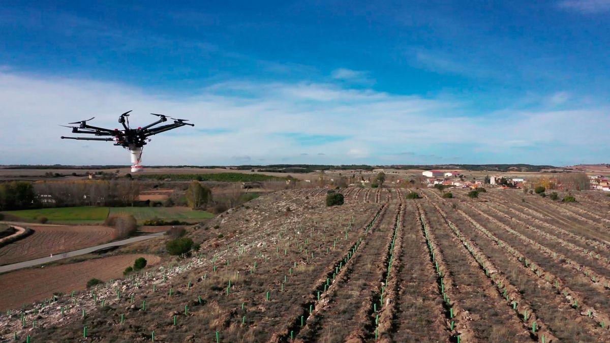 dron-reforestacion-iberdrola.jpg