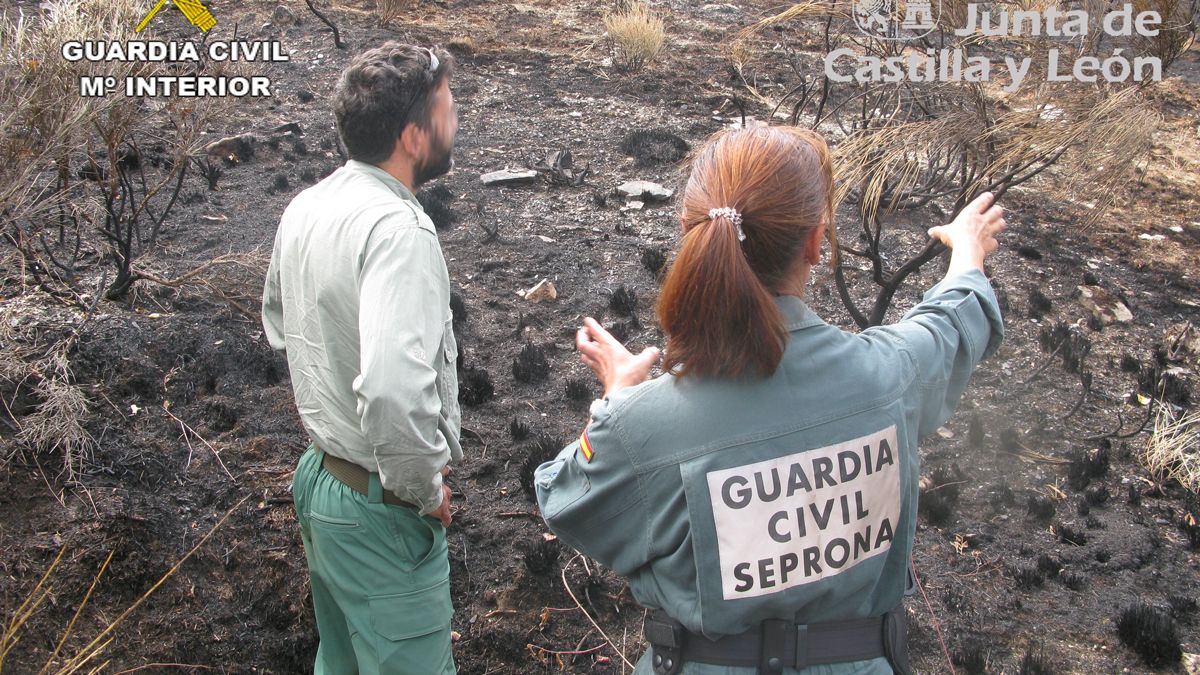 investigacion-incendio-villaquejida-31082022.jpg