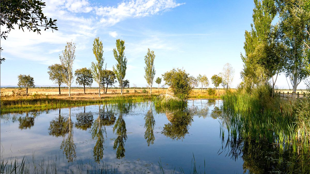 Laguna a la entrada de Villar de Mazarife. | VICENTE GARCÍA