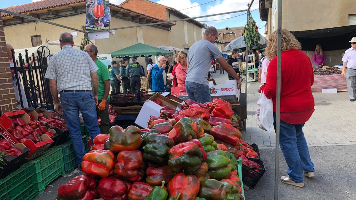 Habrá degustaciones de diferentes productos y sopas de ajo. | P.F.