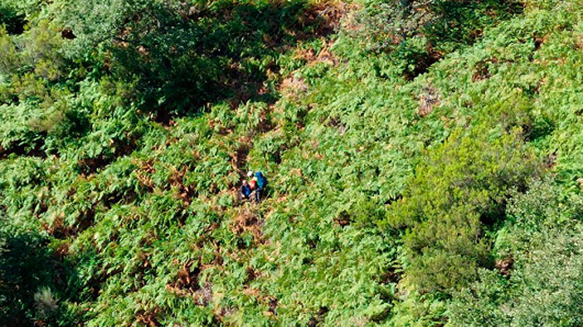 Zona en la que fue localizado el peregrino. | JCYL