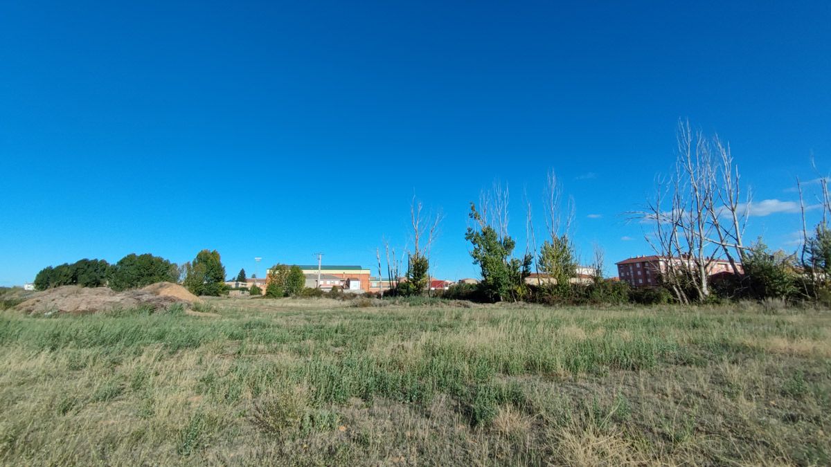 Vista de parte de la zona en la que se construirá el camping municipal, con el polideportivo de fondo. | A.R.