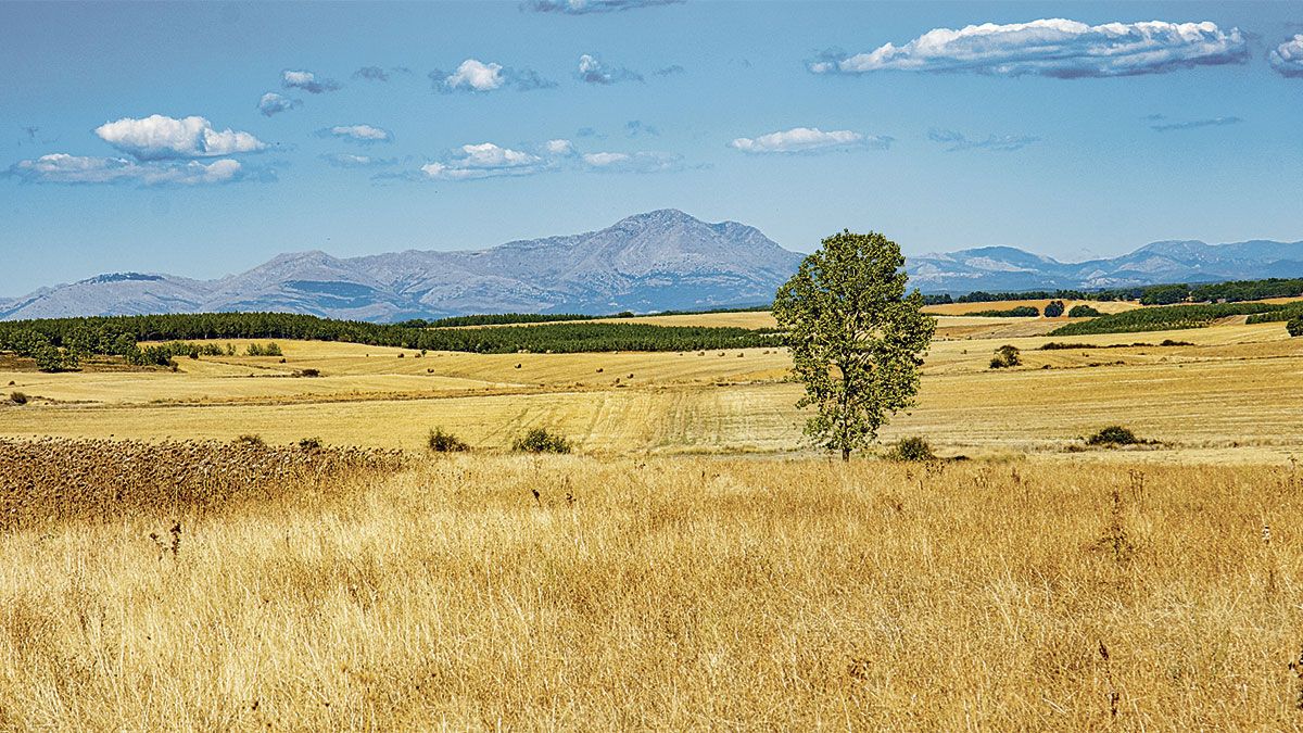 El pico Peñacorada desde Villamartín de Don Sancho. | VICENTE GARCÍA