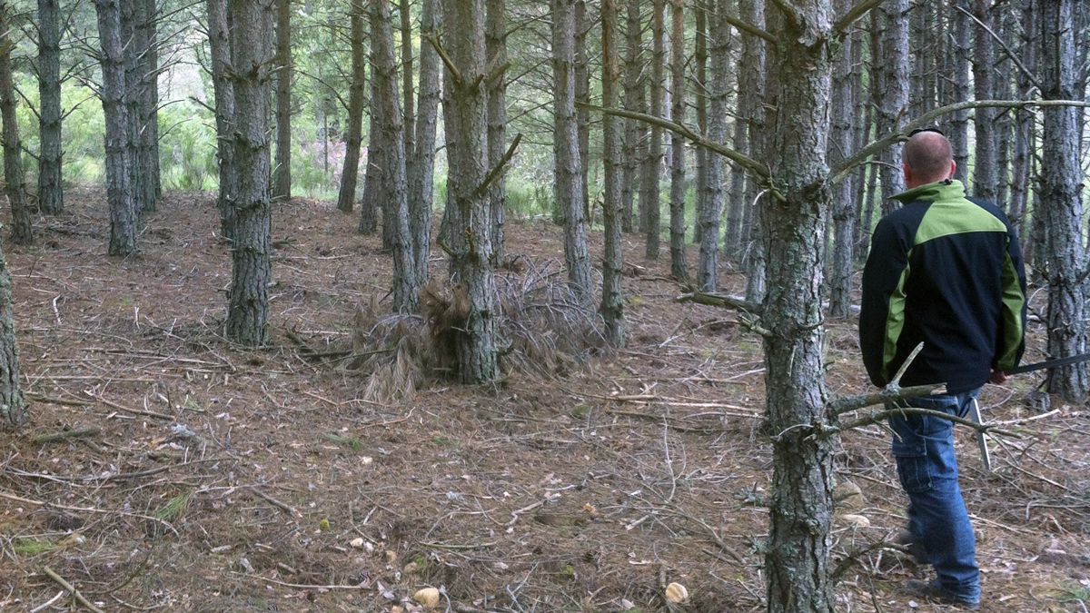 Se realizarán diferentes actividades y salidas a montes cercanos. | NATURGEIS