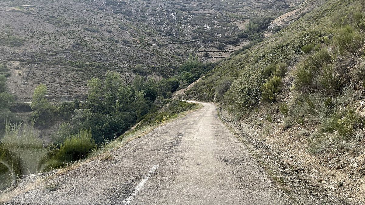 El estado que presenta la carretera LE-7311 en la Cabrera. | L.N.C.