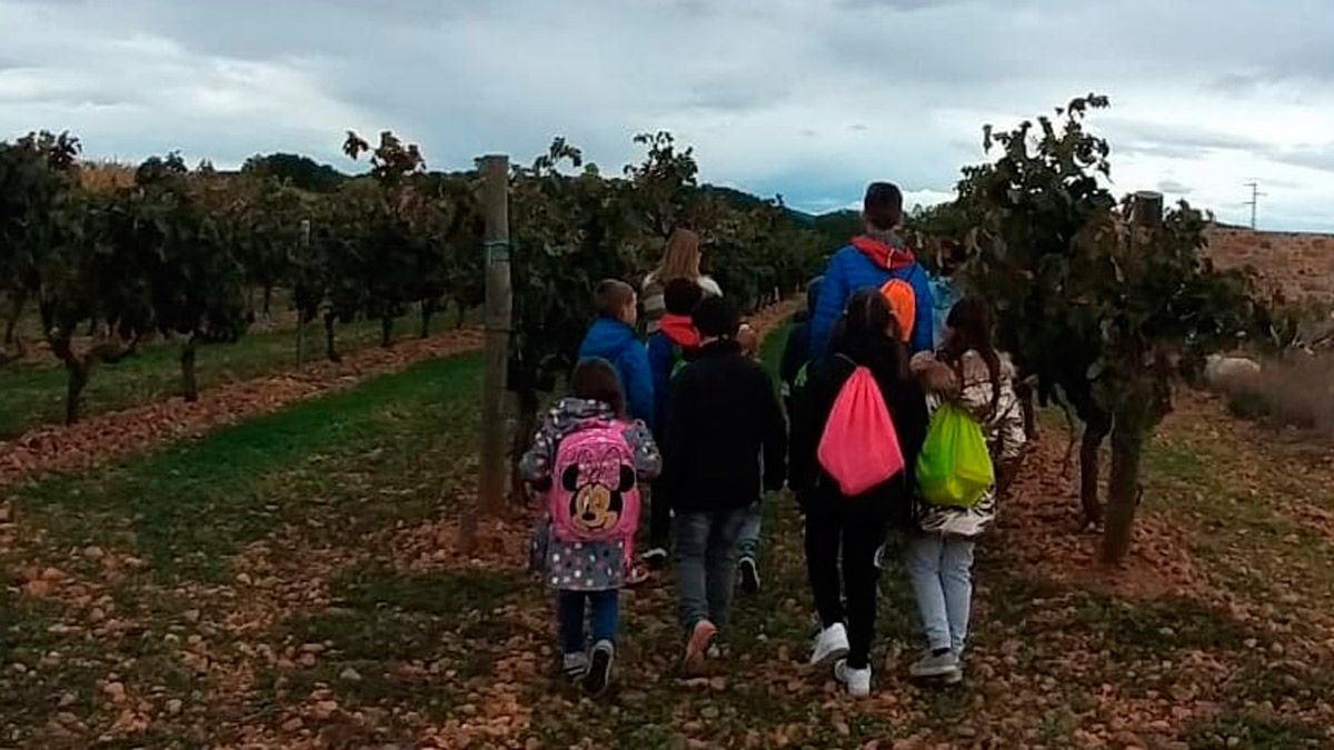 Los alumnos del CRA de Alija del Infando durante la visita a las viñas para aprender sobre la vendimia. | L.N.C.
