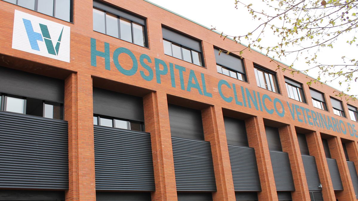 Imagen del Hospital Clínico Veterinario de la Universidad de León. | L.N.C. Imagen del Hospital Clínico Veterinario de la Universidad de León. | L.N.C.