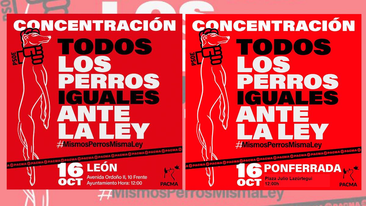 concentracion-pacma-leon-12102022.jpg concentracion-pacma-leon-12102022.jpg