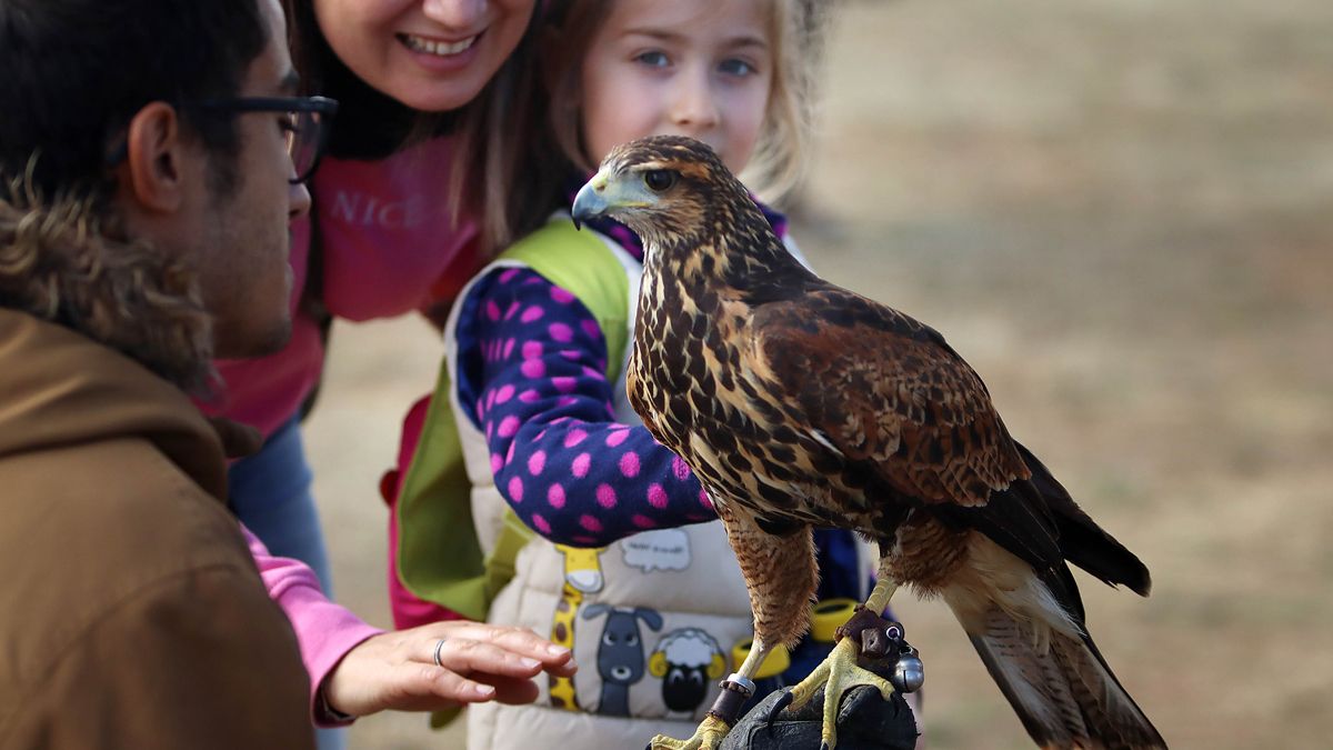 Las jornadas se celebran durante todo el fin de semana. | PEIO GARCÍA / ICAL