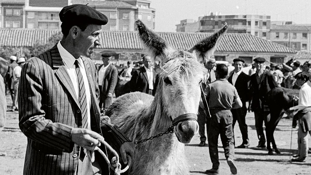 Algunos se ponen las mejores galas para ir al mercado o la feria, la imagen también es fundamental para ofrecer seriedad. | FERNANDO RUBIO