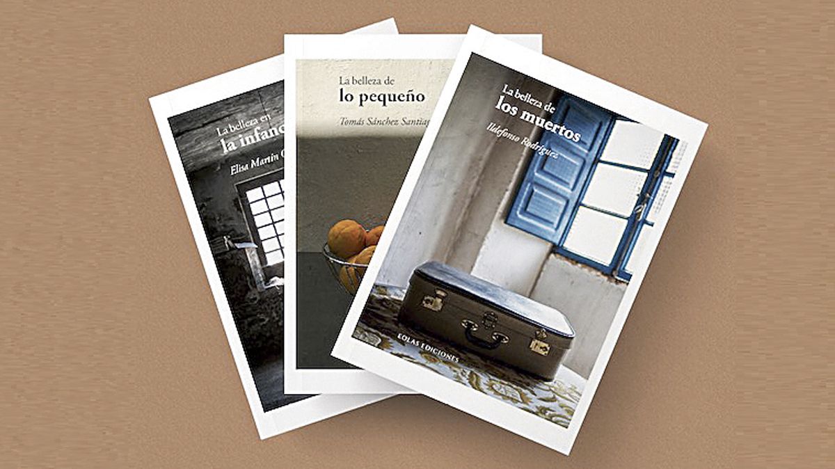 Los primeros títulos de la colección, de Sánchez Santiago, Elisa Martín e Ildefonso Rodríguuez. | L.N.C.