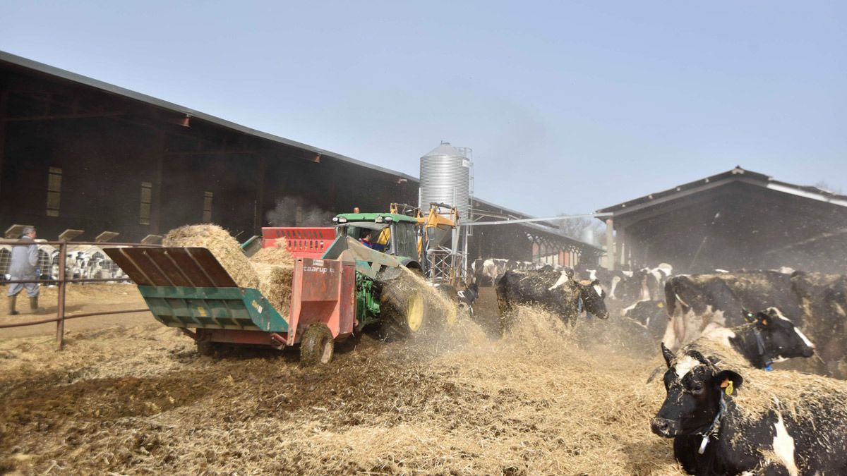 Un ganadero trabajando en su explotación ganadero. | SAÚL ARÉN